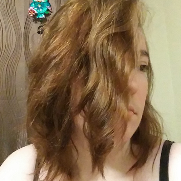 Meet your Posher, Posh - Picture 1 of 1